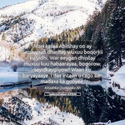 Picture 05 - Samuu'eel Labaad 16:9 SOM - Markaasaa Abiishay oo ay Seruuyaah dhashay wuxuu - Bible Verse Picture