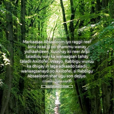 Picture 05 - Samuu'eel Labaad 17:14 SOM - Markaasaa Absaaloom iyo raggii reer binu - Bible Verse Picture