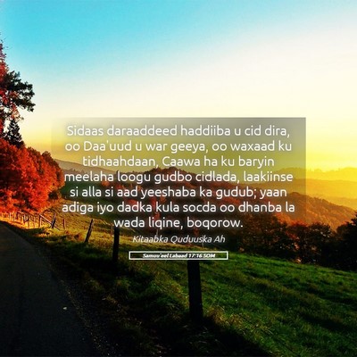Picture 05 - Samuu'eel Labaad 17:16 SOM - Sidaas daraaddeed haddiiba u cid dira, oo Daa'uud - Bible Verse Picture