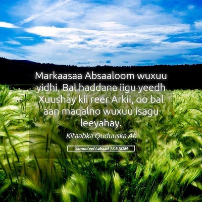 Picture 05 - Samuu'eel Labaad 17:5 SOM - Markaasaa Absaaloom wuxuu yidhi, Bal haddana iigu - Bible Verse Picture