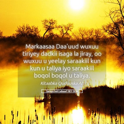 Picture 05 - Samuu'eel Labaad 18:1 SOM - Markaasaa Daa'uud wuxuu tiriyey dadkii isaga la - Bible Verse Picture