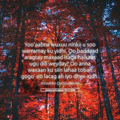 Picture 05 - Samuu'eel Labaad 18:11 SOM - Yoo'aabna wuxuu ninkii u soo warramay ku yidhi, - Bible Verse Picture
