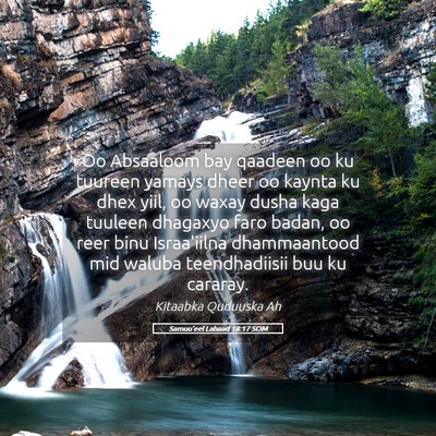 Picture 05 - Samuu'eel Labaad 18:17 SOM - Oo Absaaloom bay qaadeen oo ku tuureen yamays - Bible Verse Picture
