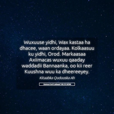 Picture 05 - Samuu'eel Labaad 18:23 SOM - Wuxuuse yidhi, Wax kastaa ha dhacee, waan - Bible Verse Picture