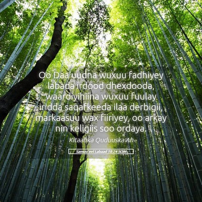 Picture 05 - Samuu'eel Labaad 18:24 SOM - Oo Daa'uudna wuxuu fadhiyey labada irdood - Bible Verse Picture