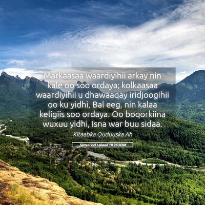 Picture 05 - Samuu'eel Labaad 18:26 SOM - Markaasaa waardiyihii arkay nin kale oo soo - Bible Verse Picture