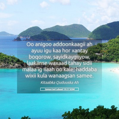 Picture 05 - Samuu'eel Labaad 19:27 SOM - Oo anigoo addoonkaagii ah ayuu igu kaa hor xantay - Bible Verse Picture