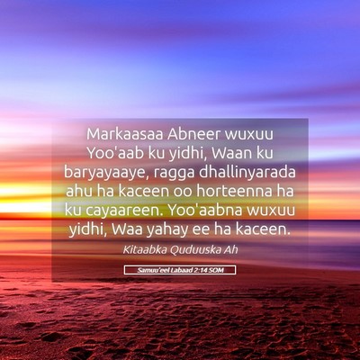 Picture 05 - Samuu'eel Labaad 2:14 SOM - Markaasaa Abneer wuxuu Yoo'aab ku yidhi, Waan ku - Bible Verse Picture