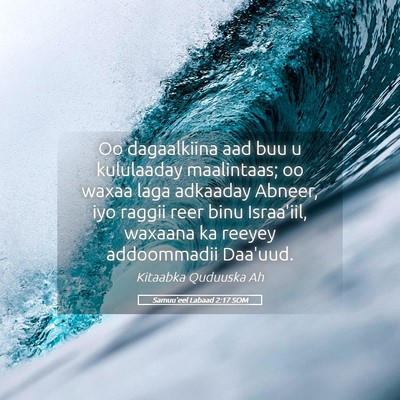 Picture 05 - Samuu'eel Labaad 2:17 SOM - Oo dagaalkiina aad buu u kululaaday maalintaas; - Bible Verse Picture