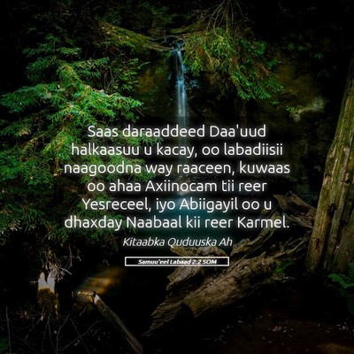 Picture 05 - Samuu'eel Labaad 2:2 SOM - Saas daraaddeed Daa'uud halkaasuu u kacay, oo - Bible Verse Picture