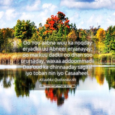 Picture 05 - Samuu'eel Labaad 2:30 SOM - Oo Yoo'aabna wuu ka noqday eryadkii uu Abneer - Bible Verse Picture