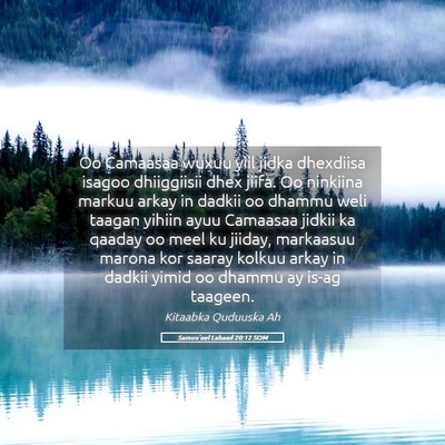 Picture 05 - Samuu'eel Labaad 20:12 SOM - Oo Camaasaa wuxuu yiil jidka dhexdiisa isagoo - Bible Verse Picture