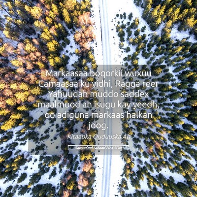 Picture 05 - Samuu'eel Labaad 20:4 SOM - Markaasaa boqorkii wuxuu Camaasaa ku yidhi, Ragga - Bible Verse Picture