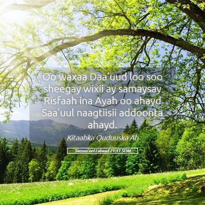 Picture 05 - Samuu'eel Labaad 21:11 SOM - Oo waxaa Daa'uud loo soo sheegay wixii ay - Bible Verse Picture