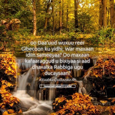 Picture 05 - Samuu'eel Labaad 21:3 SOM - oo Daa'uud wuxuu reer Gibecoon ku yidhi, War - Bible Verse Picture