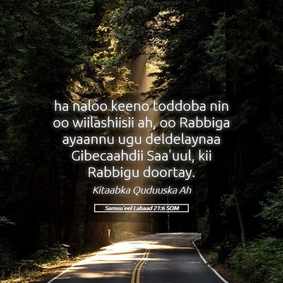 Picture 05 - Samuu'eel Labaad 21:6 SOM - ha naloo keeno toddoba nin oo wiilashiisii ah, oo - Bible Verse Picture