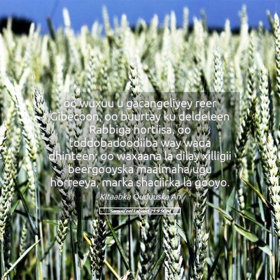 Picture 05 - Samuu'eel Labaad 21:9 SOM - oo wuxuu u gacangeliyey reer Gibecoon, oo buurtay - Bible Verse Picture