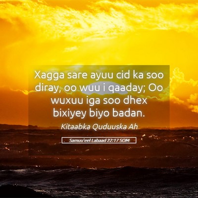 Picture 05 - Samuu'eel Labaad 22:17 SOM - Xagga sare ayuu cid ka soo diray, oo wuu i - Bible Verse Picture