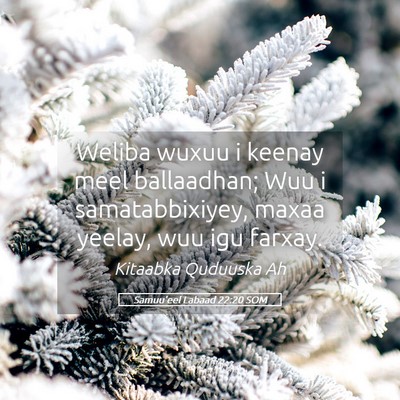 Picture 05 - Samuu'eel Labaad 22:20 SOM - Weliba wuxuu i keenay meel ballaadhan; Wuu i - Bible Verse Picture