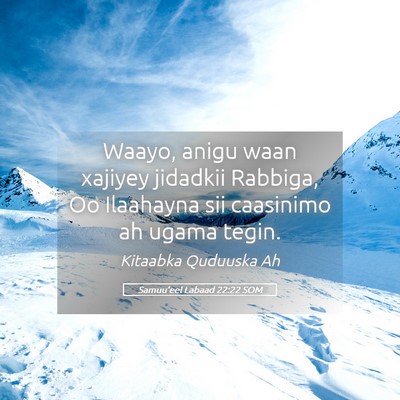 Picture 05 - Samuu'eel Labaad 22:22 SOM - Waayo, anigu waan xajiyey jidadkii Rabbiga, Oo - Bible Verse Picture