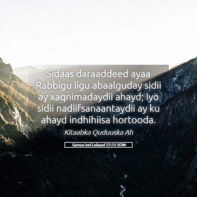 Picture 05 - Samuu'eel Labaad 22:25 SOM - Sidaas daraaddeed ayaa Rabbigu iigu abaalguday - Bible Verse Picture