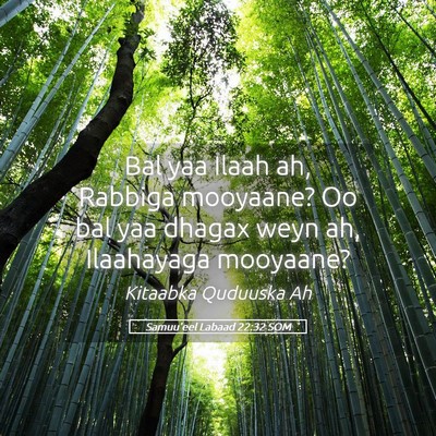 Picture 05 - Samuu'eel Labaad 22:32 SOM - Bal yaa Ilaah ah, Rabbiga mooyaane? Oo bal yaa - Bible Verse Picture