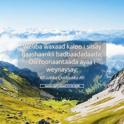 Picture 05 - Samuu'eel Labaad 22:36 SOM - Weliba waxaad kaloo i siisay gaashaankii - Bible Verse Picture