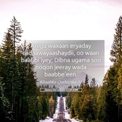 Picture 05 - Samuu'eel Labaad 22:38 SOM - Anigu waxaan eryaday cadaawayaashaydii, oo waan - Bible Verse Picture