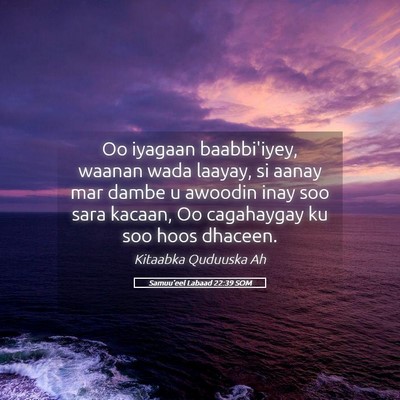 Picture 05 - Samuu'eel Labaad 22:39 SOM - Oo iyagaan baabbi'iyey, waanan wada laayay, si - Bible Verse Picture