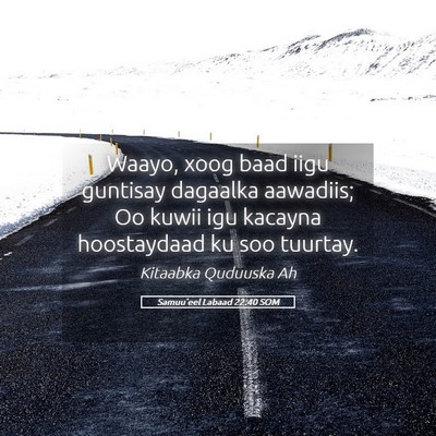 Picture 05 - Samuu'eel Labaad 22:40 SOM - Waayo, xoog baad iigu guntisay dagaalka aawadiis; - Bible Verse Picture