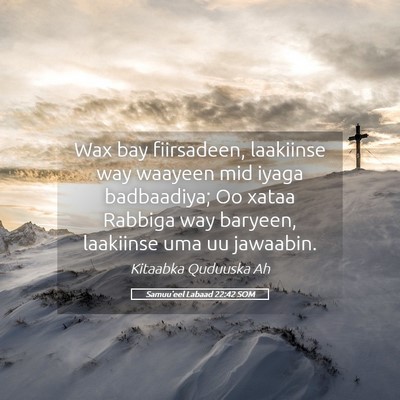 Picture 05 - Samuu'eel Labaad 22:42 SOM - Wax bay fiirsadeen, laakiinse way waayeen mid - Bible Verse Picture