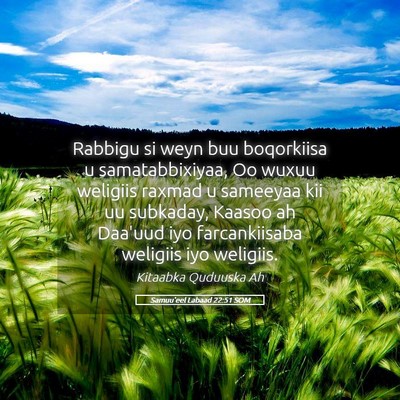 Picture 05 - Samuu'eel Labaad 22:51 SOM - Rabbigu si weyn buu boqorkiisa u samatabbixiyaa, - Bible Verse Picture