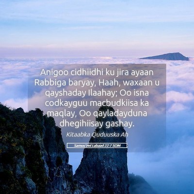 Picture 05 - Samuu'eel Labaad 22:7 SOM - Anigoo cidhiidhi ku jira ayaan Rabbiga baryay, - Bible Verse Picture
