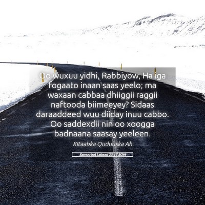 Picture 05 - Samuu'eel Labaad 23:17 SOM - Oo wuxuu yidhi, Rabbiyow, Ha iga fogaato inaan - Bible Verse Picture