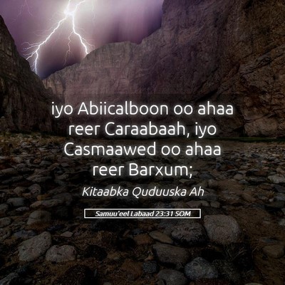 Picture 05 - Samuu'eel Labaad 23:31 SOM - iyo Abiicalboon oo ahaa reer Caraabaah, iyo - Bible Verse Picture