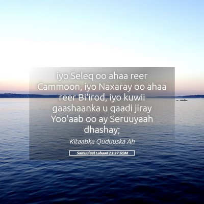 Picture 05 - Samuu'eel Labaad 23:37 SOM - iyo Seleq oo ahaa reer Cammoon, iyo Naxaray oo - Bible Verse Picture