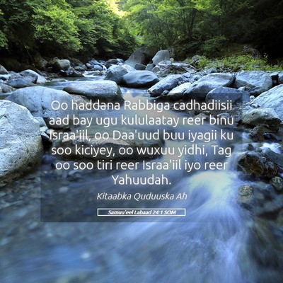 Picture 05 - Samuu'eel Labaad 24:1 SOM - Oo haddana Rabbiga cadhadiisii aad bay ugu - Bible Verse Picture