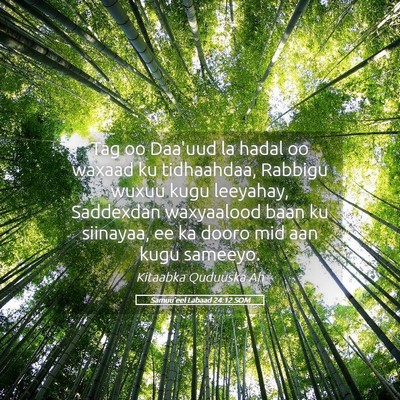 Picture 05 - Samuu'eel Labaad 24:12 SOM - Tag oo Daa'uud la hadal oo waxaad ku tidhaahdaa, - Bible Verse Picture