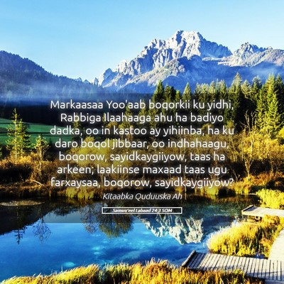 Picture 05 - Samuu'eel Labaad 24:3 SOM - Markaasaa Yoo'aab boqorkii ku yidhi, Rabbiga - Bible Verse Picture