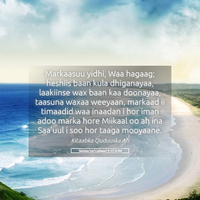 Picture 05 - Samuu'eel Labaad 3:13 SOM - Markaasuu yidhi, Waa hagaag; heshiis baan kula - Bible Verse Picture
