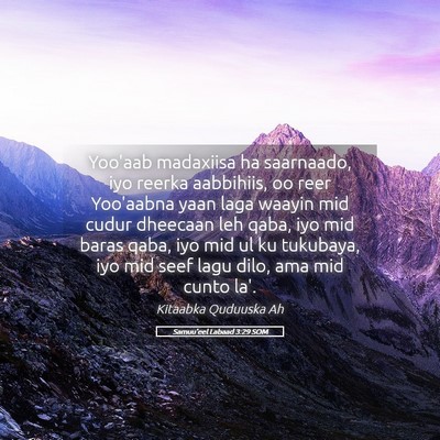Picture 05 - Samuu'eel Labaad 3:29 SOM - Yoo'aab madaxiisa ha saarnaado, iyo reerka - Bible Verse Picture