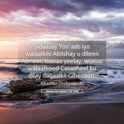 Picture 05 - Samuu'eel Labaad 3:30 SOM - Sidaasay Yoo'aab iyo walaalkiis Abiishay u dileen - Bible Verse Picture