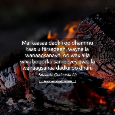 Picture 05 - Samuu'eel Labaad 3:36 SOM - Markaasaa dadkii oo dhammu taas u fiirsadeen, - Bible Verse Picture
