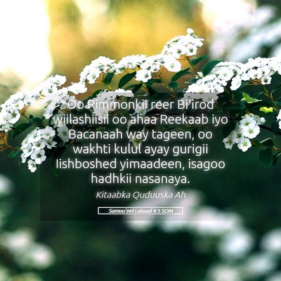 Picture 05 - Samuu'eel Labaad 4:5 SOM - Oo Rimmonkii reer Bi'irod wiilashiisii oo ahaa - Bible Verse Picture