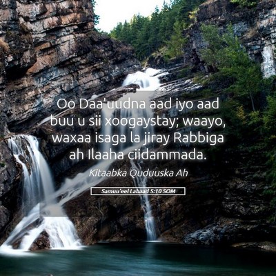 Picture 05 - Samuu'eel Labaad 5:10 SOM - Oo Daa'uudna aad iyo aad buu u sii xoogaystay; - Bible Verse Picture