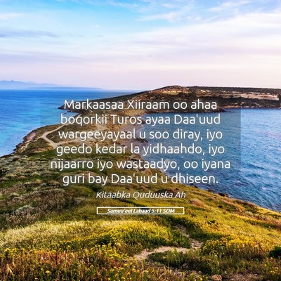 Picture 05 - Samuu'eel Labaad 5:11 SOM - Markaasaa Xiiraam oo ahaa boqorkii Turos ayaa - Bible Verse Picture