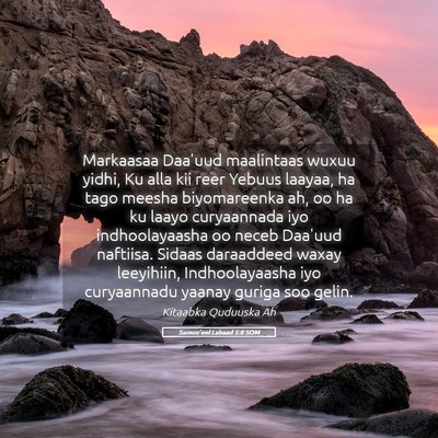 Picture 05 - Samuu'eel Labaad 5:8 SOM - Markaasaa Daa'uud maalintaas wuxuu yidhi, Ku alla - Bible Verse Picture