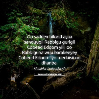 Picture 05 - Samuu'eel Labaad 6:11 SOM - Oo saddex bilood ayaa sanduuqii Rabbigu gurigii - Bible Verse Picture