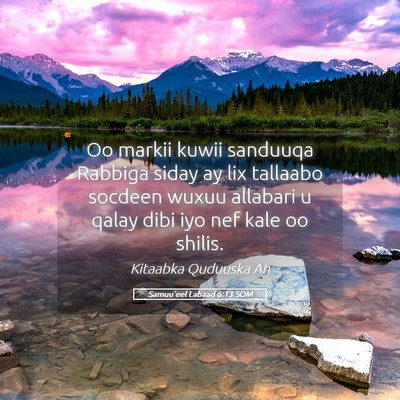 Picture 05 - Samuu'eel Labaad 6:13 SOM - Oo markii kuwii sanduuqa Rabbiga siday ay lix - Bible Verse Picture