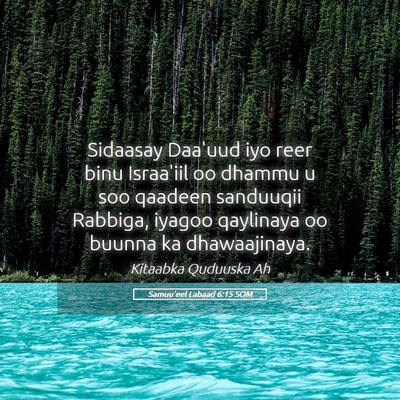 Picture 05 - Samuu'eel Labaad 6:15 SOM - Sidaasay Daa'uud iyo reer binu Israa'iil oo - Bible Verse Picture